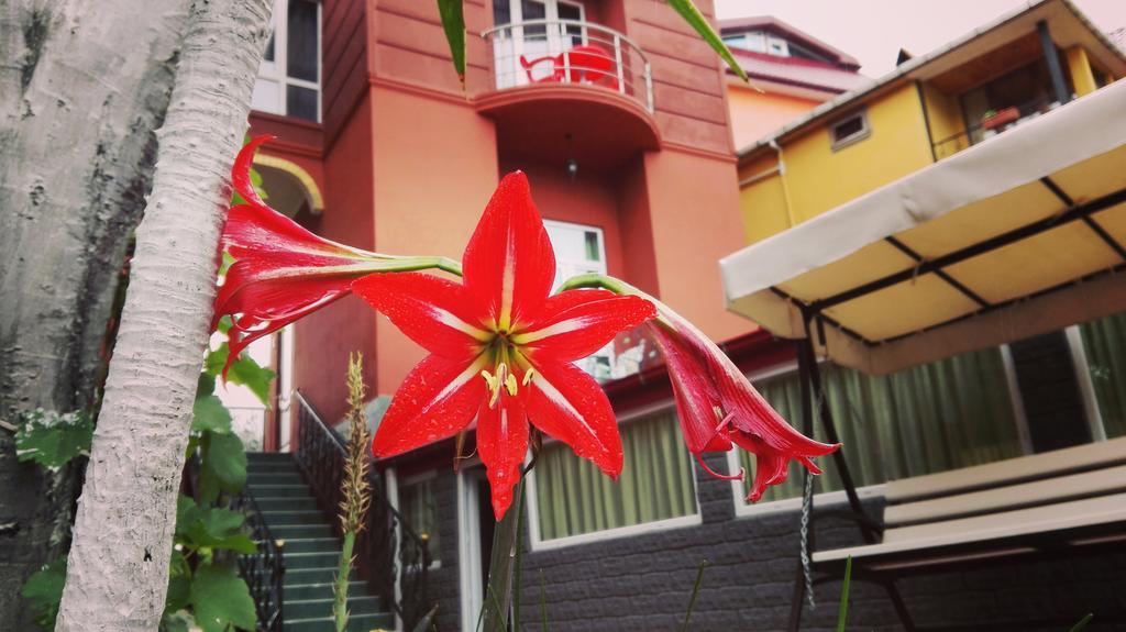 Gold Guest House Gonio Exterior photo